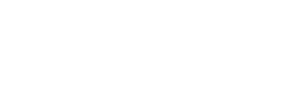 Voyager® Vision - ASA Electronics